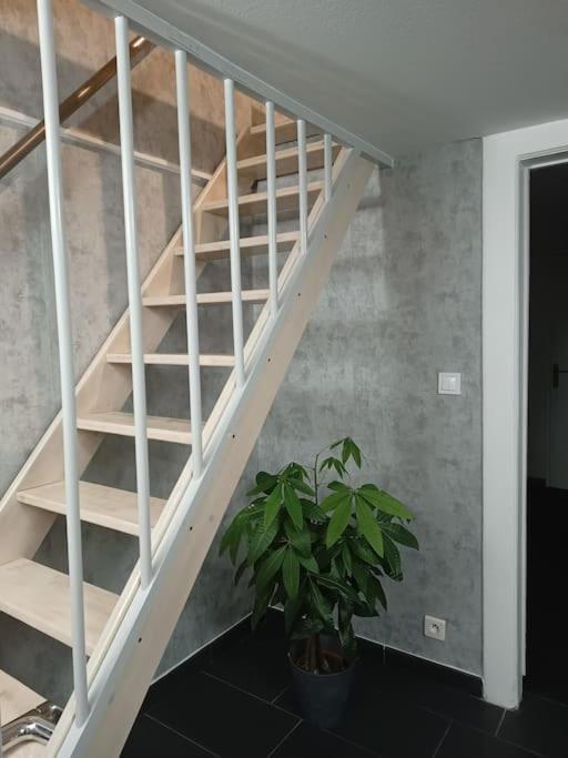 Gite Chez L'Oncle Paul Urschenheim Экстерьер фото